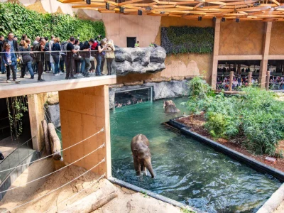 Orientarium-ZOO-Lodz-5