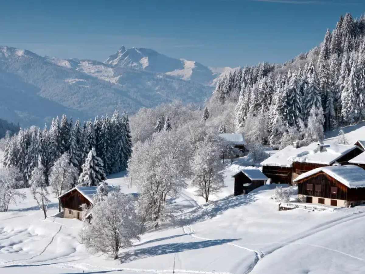 ski 2