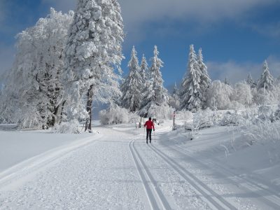 ski 4